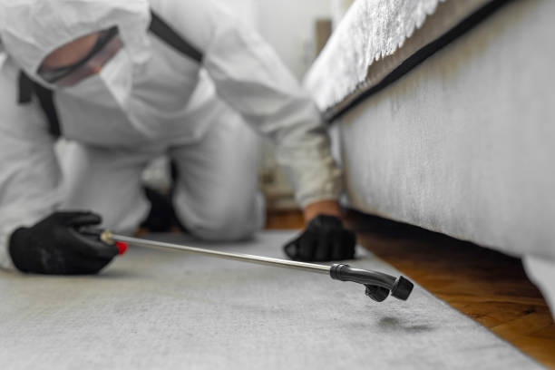 Professional Pest Control technician working in Rancho Palos Verdes, CA