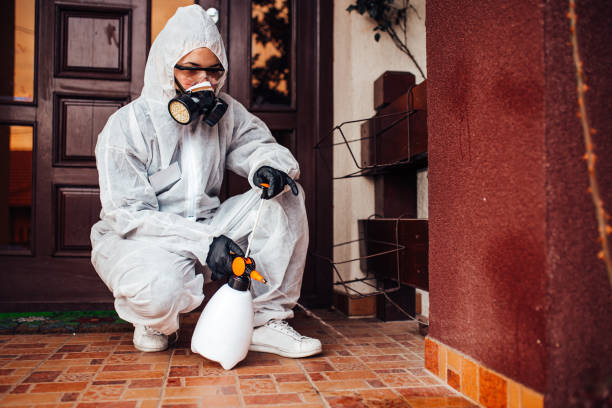 Reliable Ant Control contractor in Rancho Palos Verdes, CA by Nex Pest Control