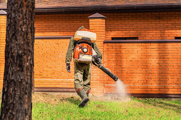 Trusted Cockroach Control service in Rancho Palos Verdes, CA - Nex Pest Control